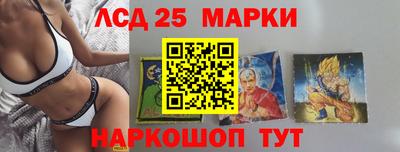 Альфа ПВП Ставрополь
