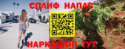 Альфа ПВП Ставрополь